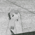 The mountain woman